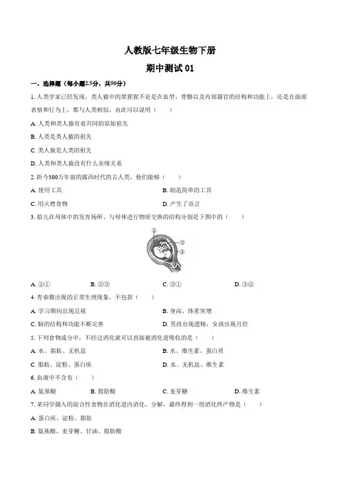 人教版七年级生物下册  期中测试卷三套及答案