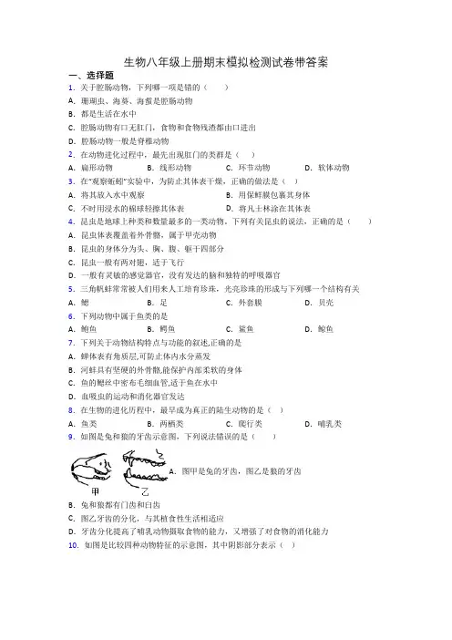 生物八年级上册期末模拟检测试卷带答案