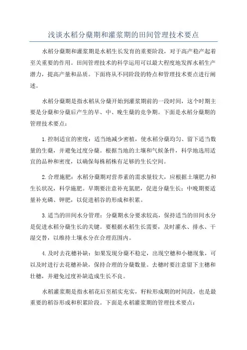 浅谈水稻分蘖期和灌浆期的田间管理技术要点