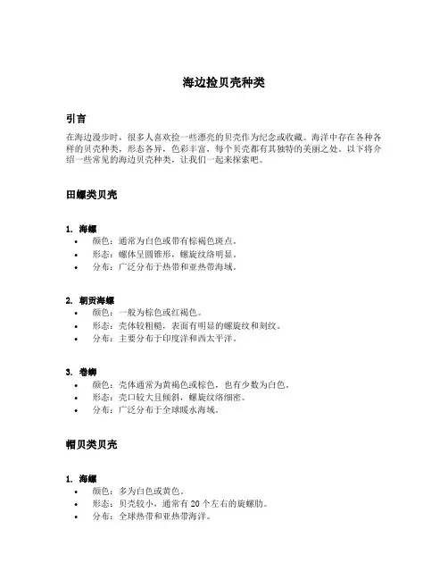 海边捡贝壳种类