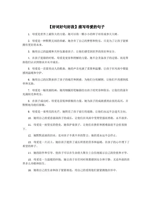 【好词好句好段】描写母爱的句子