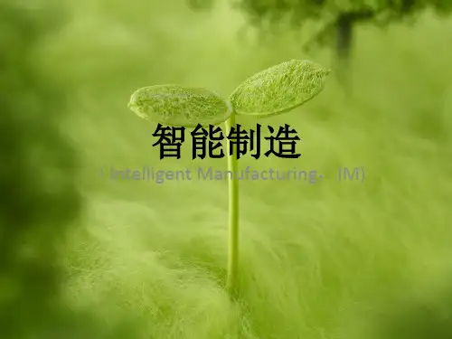 智能制造(IM)