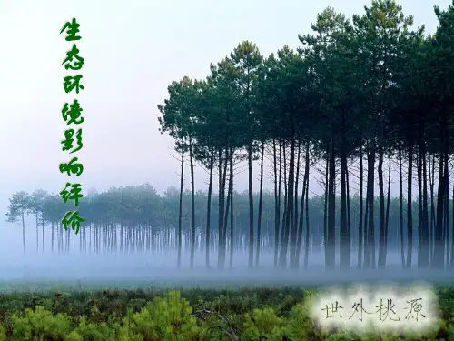 生态评价ppt