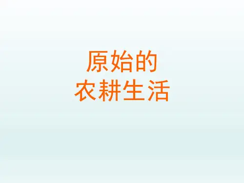 人教版初中七年级历史PPT课件-原始的农耕生活