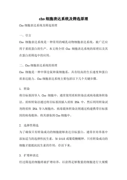 cho细胞表达系统及筛选原理