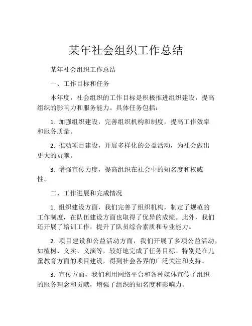 某年社会组织工作总结