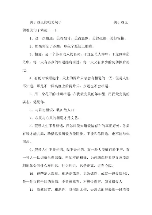 精选关于遇见的唯美句子