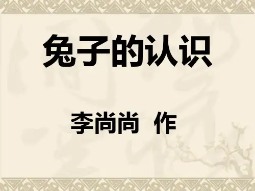 兔子简介