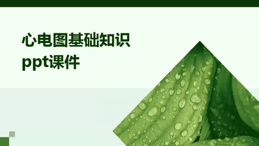 心电图基础知识ppt课件