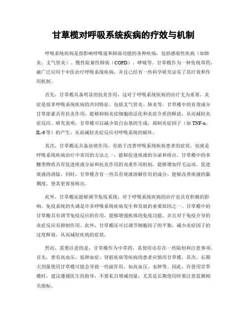 甘草榄对呼吸系统疾病的疗效与机制