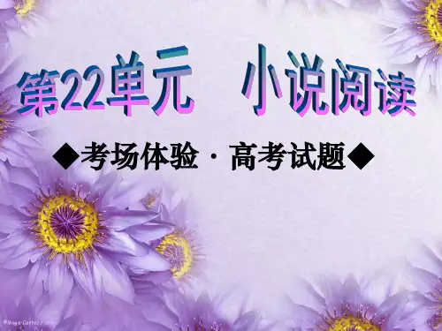 高考语文总复习之小说阅读