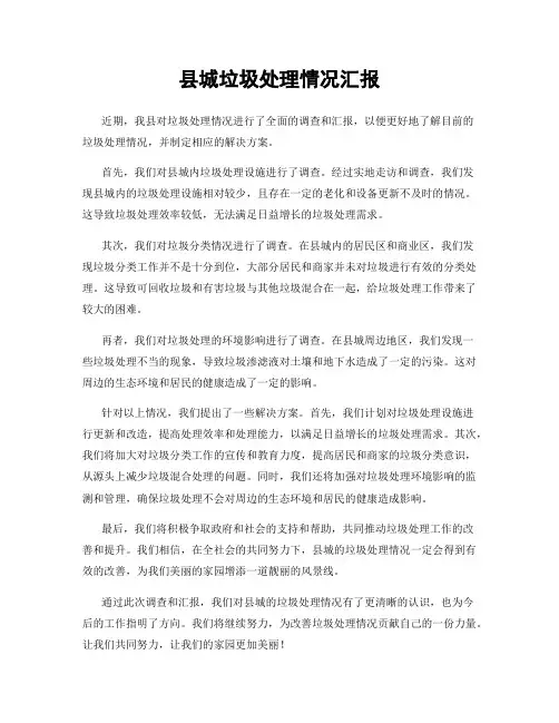 县城垃圾处理情况汇报