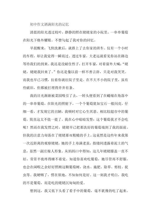 初中作文洒满阳光的记忆