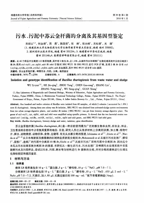 污水、污泥中苏云金杆菌的分离及其基因型鉴定