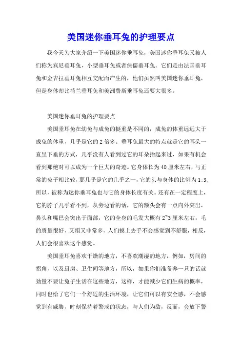 美国迷你垂耳兔的护理要点