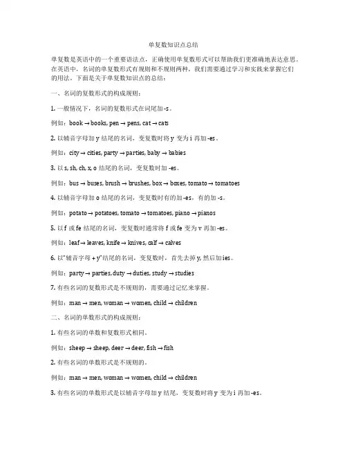 单复数知识点总结