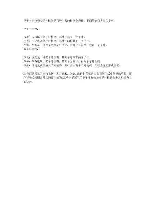 单子叶双子叶植物举例