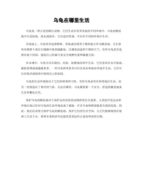 乌龟在哪里生活