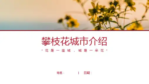 攀枝花介绍-攀枝花简介PPT(经典版)