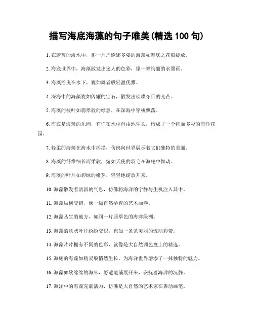 描写海底海藻的句子唯美(精选100句)