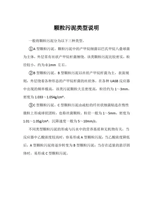 颗粒污泥类型说明