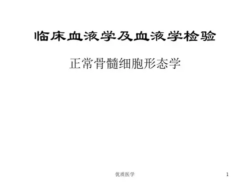 骨髓象检验(特选材料)