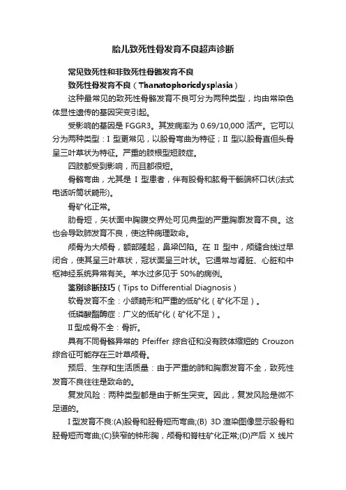 胎儿致死性骨发育不良超声诊断