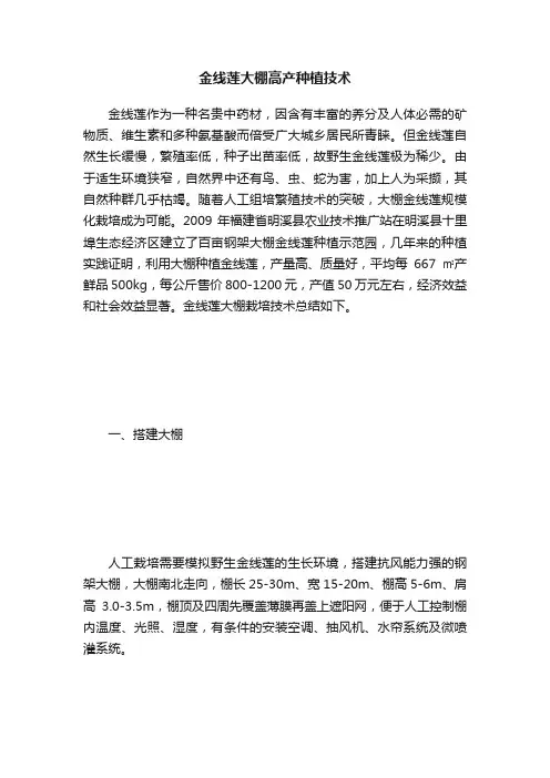 金线莲大棚高产种植技术