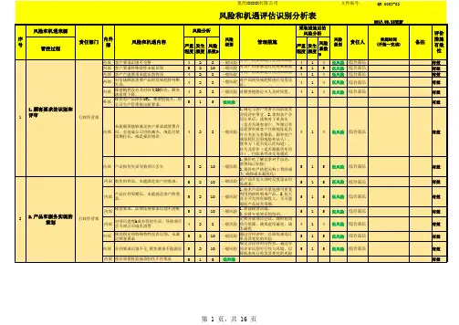 风险和机遇评估分析表