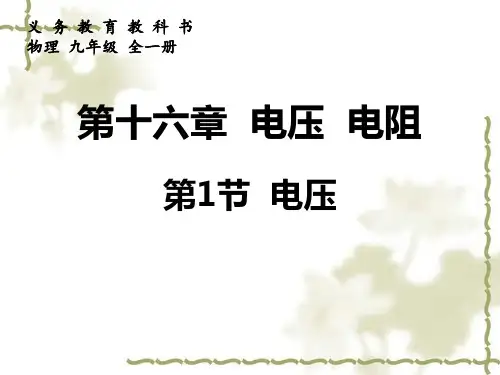 人教版物理九年级全册 16.1 电压