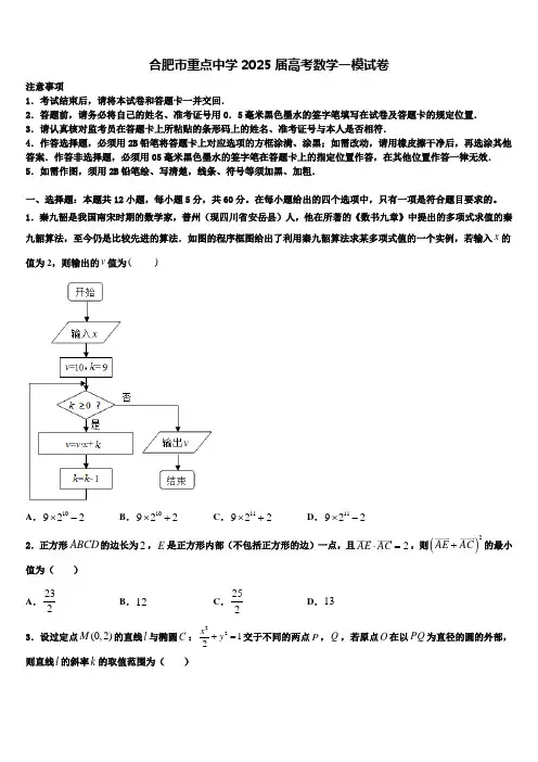 合肥市重点中学2025届高考数学一模试卷含解析