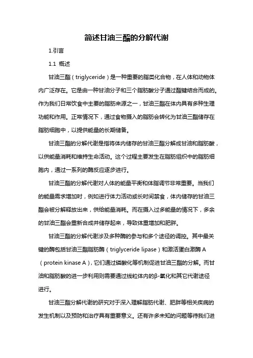 简述甘油三酯的分解代谢