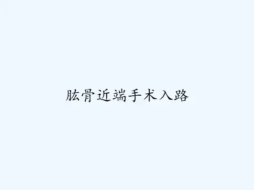 肱骨近端手术入路-PPT