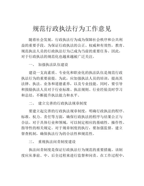 规范行政执法行为工作意见