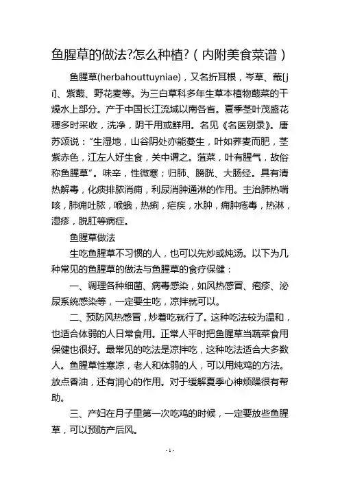 鱼腥草的做法-怎么种植-(内附美食菜谱)