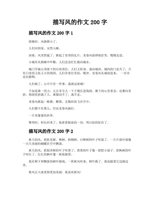 描写风的作文200字