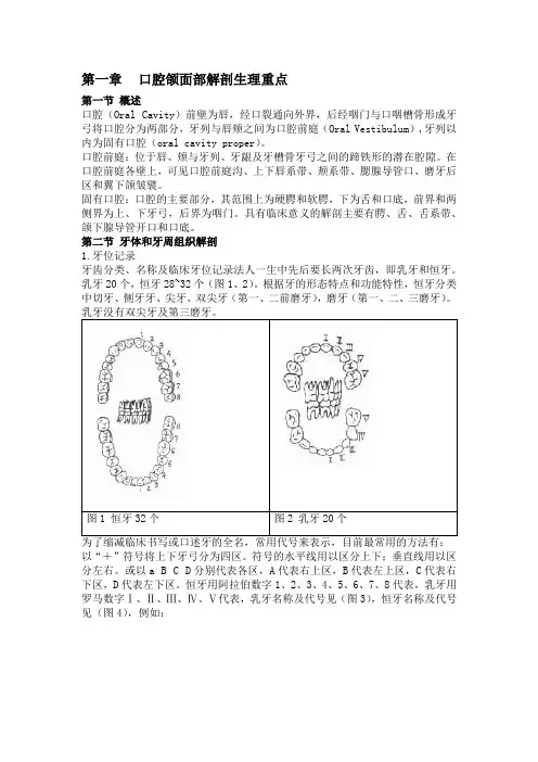 1.口腔颌面部解剖生理重点