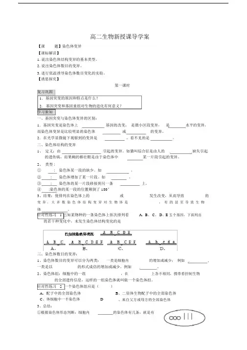 5.2《染色体变异》学案(新人教必修2).doc