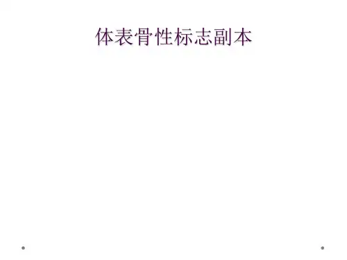 体表骨性标志副本
