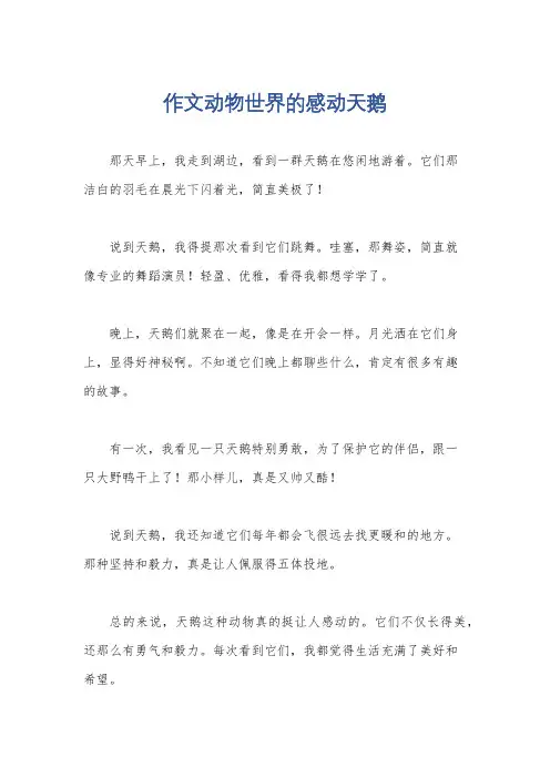 作文动物世界的感动天鹅