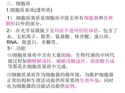 高一生物细胞质基本知识