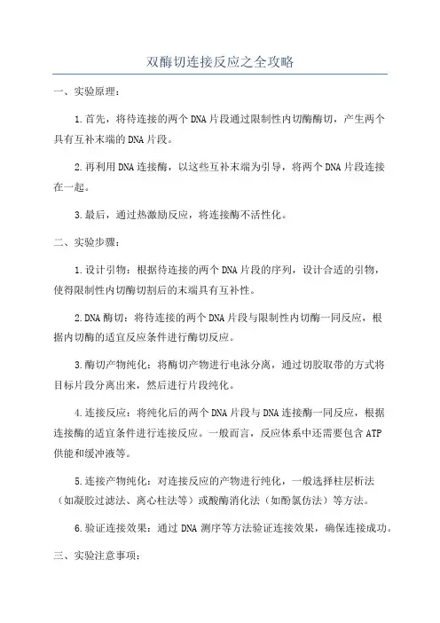 双酶切连接反应之全攻略