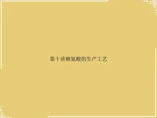 赖氨酸的生产工艺【共66张PPT】