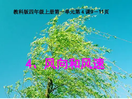 四年级上册科学风向和风速教科版 (12)