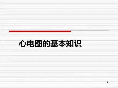心电图基本知识ppt课件