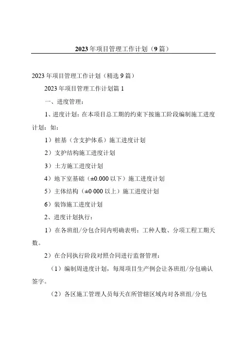 2023年项目管理工作计划(9篇)