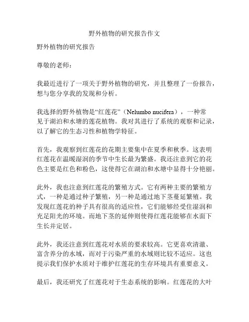 野外植物的研究报告作文