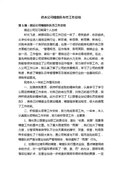 供水公司稽查队年终工作总结