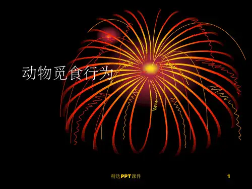 动物觅食行为ppt课件