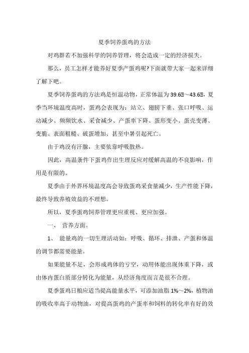 夏季饲养蛋鸡的方法